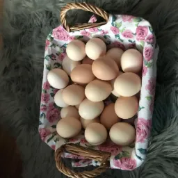 Kosz wiklinowy wyłożony tkaniną w różowe róże, wypełniony kremowymi i beżowymi produktami rolnymi, na tle szarego futra.