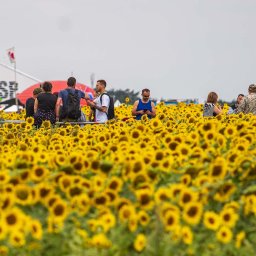 MW Airfilm - Pol`and`Rock najpiękniejszy festiwal na świecie