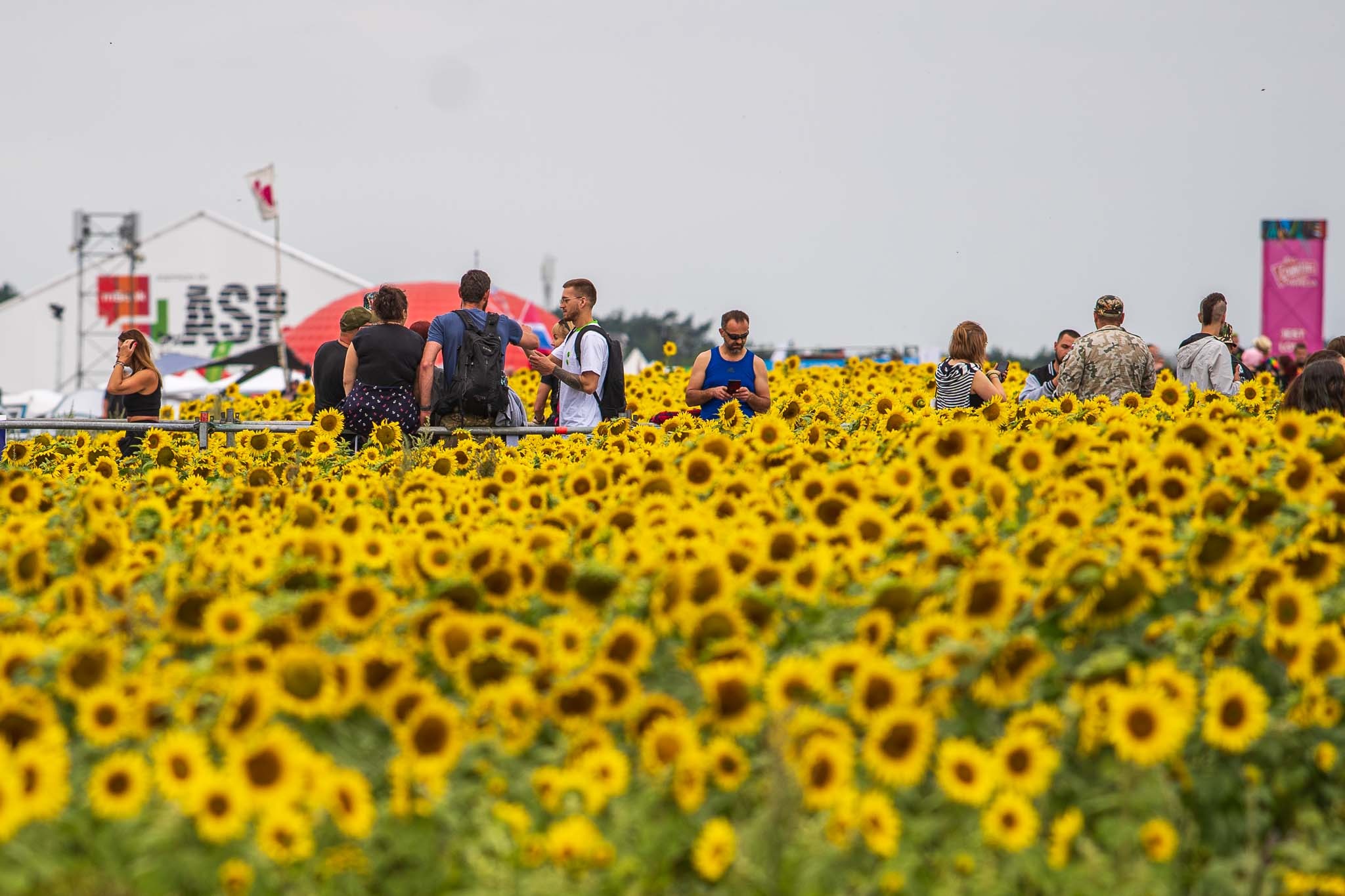 Pol`and`Rock najpiękniejszy festiwal na świecie