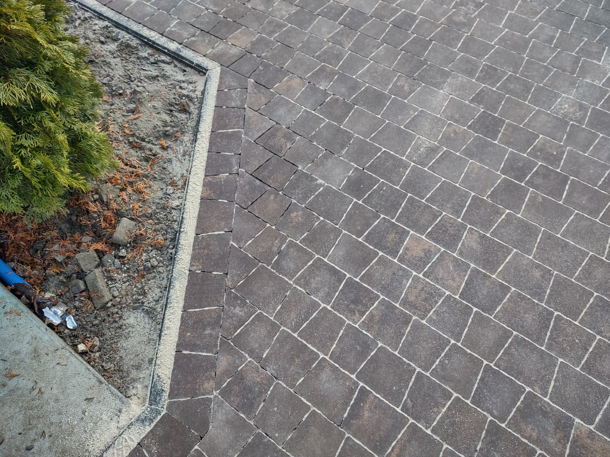 Ułożona, brązowa kostka brukowa w regularny wzór, obok rabaty z zielonym krzewem i betonowym obrzeżem. Widok z góry, oświetlenie dzienne.