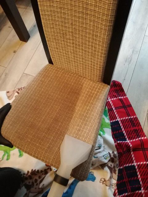 Czyszczenie tapicerki krzesła z brązowej tkaniny za pomocą odkurzacza piorącego, zabezpieczone kocami z motywami dinozaurów i kraty.