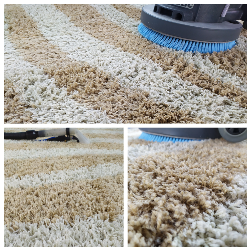 Fragment dywanu shaggy w odcieniach beżu i bieli czyszczonego maszyną z obrotową szczotką i ssawką ekstrakcyjną.