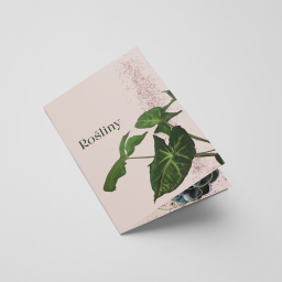 projekt broszury "Rośliny"