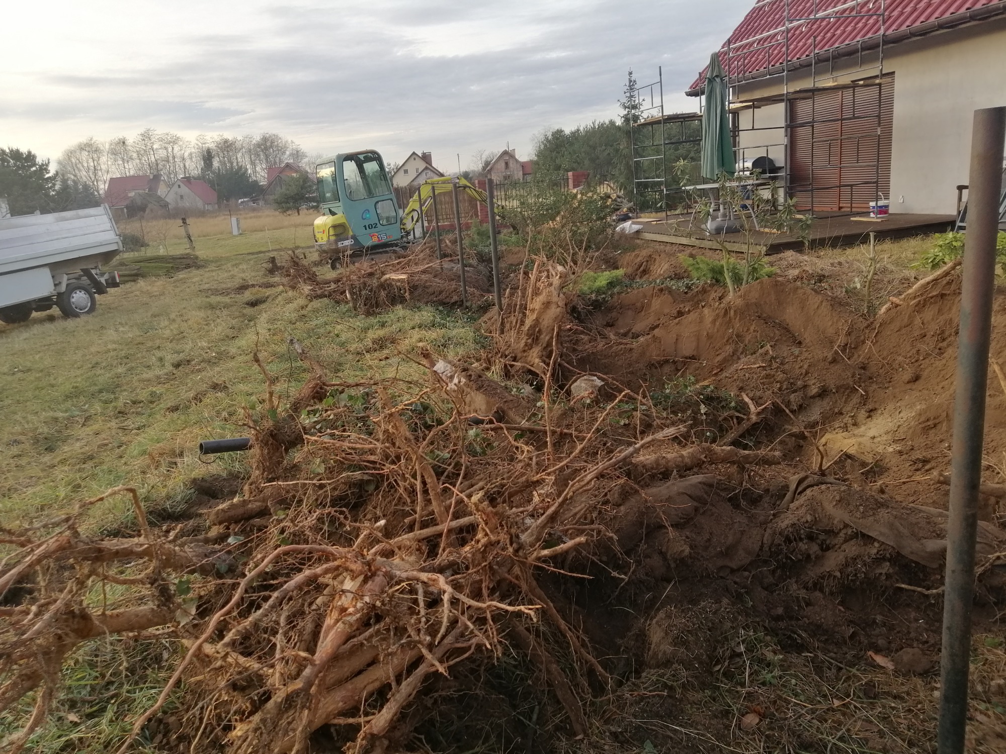 Żółto-zielona mini koparka stoi na działce, gdzie leżą wykopane korzenie drzew. W tle widoczny dom z czerwonym dachem w trakcie remontu, rusztowania i przyczepa.