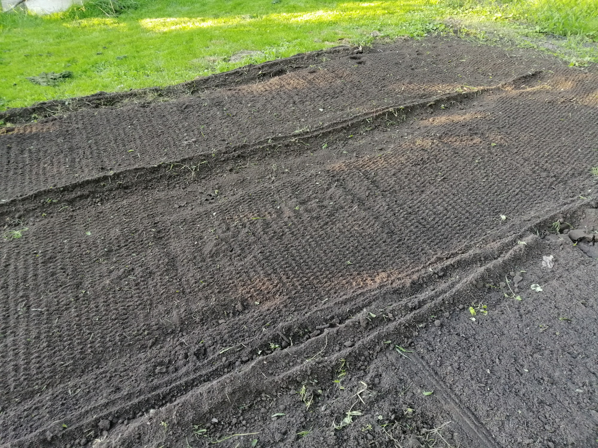 Przygotowany pod trawnik teren z widocznymi śladami po bronowaniu i resztkami starej trawy, gotowy do ułożenia trawy z rolki, z fragmentem zielonego trawnika w tle.