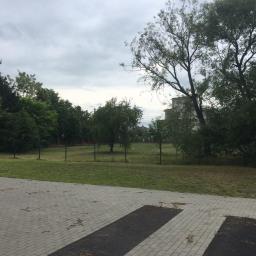 Przycinanie drzew Hajnówka 4