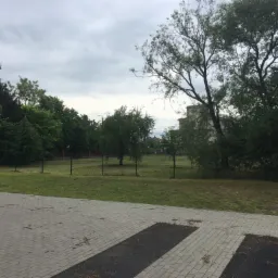 Widok na trawnik z młodymi drzewkami za czarnym ogrodzeniem siatkowym, z budynkiem w tle i fragmentem chodnika z kostki brukowej na pierwszym planie, pochmurne niebo.