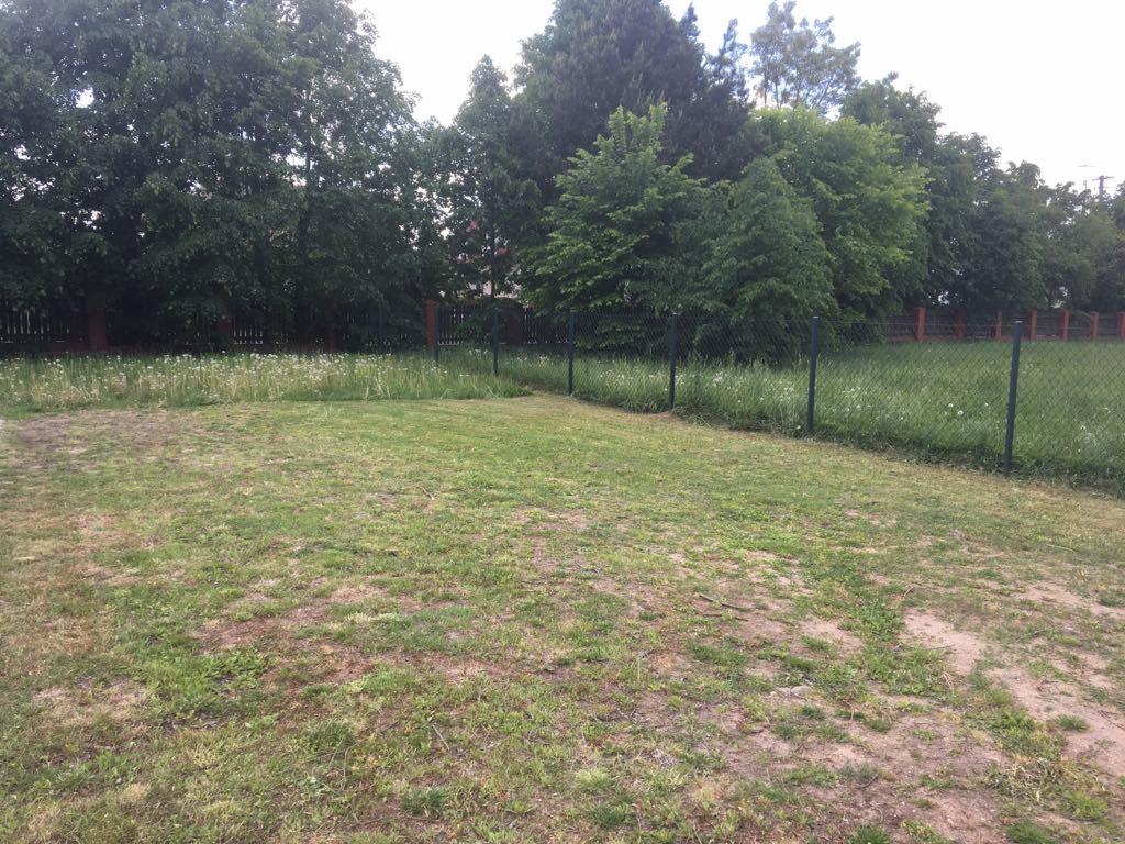 Nierówny trawnik z widocznymi chwastami i suchymi plamami, otoczony siatką ogrodzeniową i drzewami w tle.