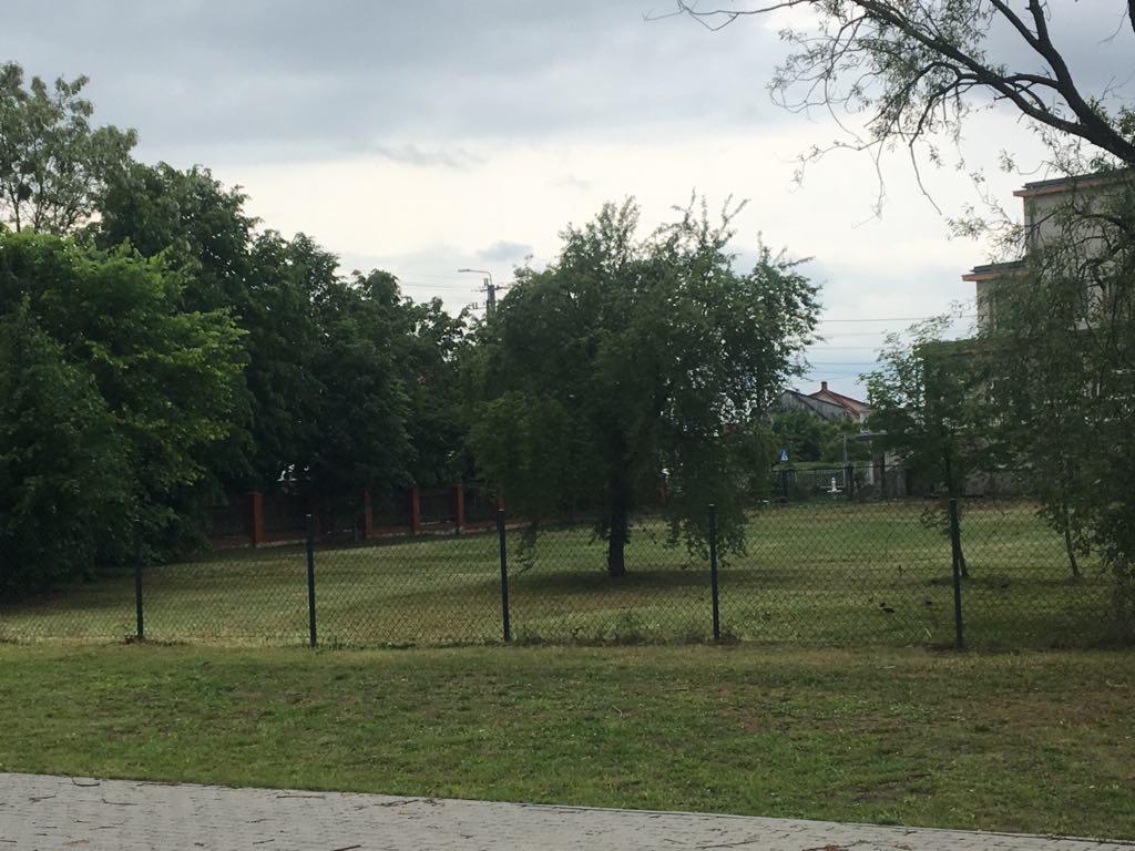 Obszar zieleni z drzewami za ogrodzeniem z siatki, pochmurne niebo w tle.