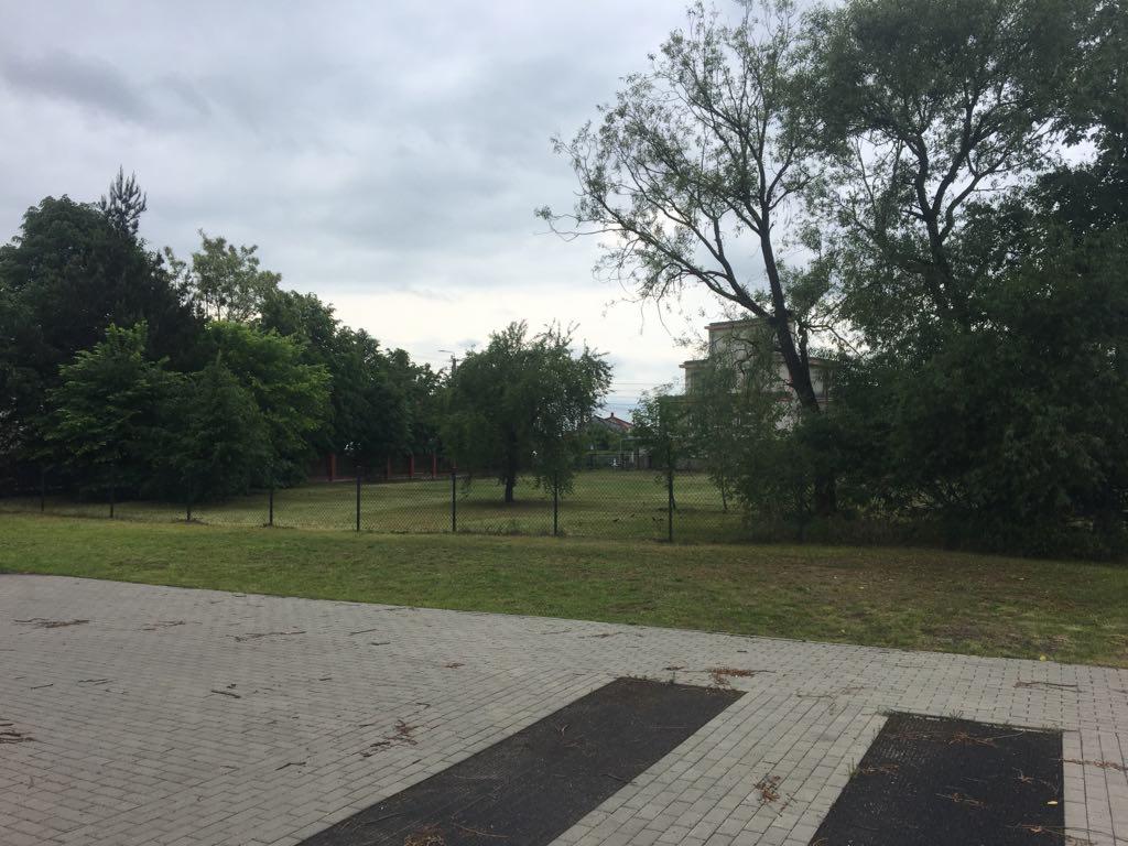 Widok na trawnik z młodymi drzewkami za czarnym ogrodzeniem siatkowym, z budynkiem w tle i fragmentem chodnika z kostki brukowej na pierwszym planie, pochmurne niebo.