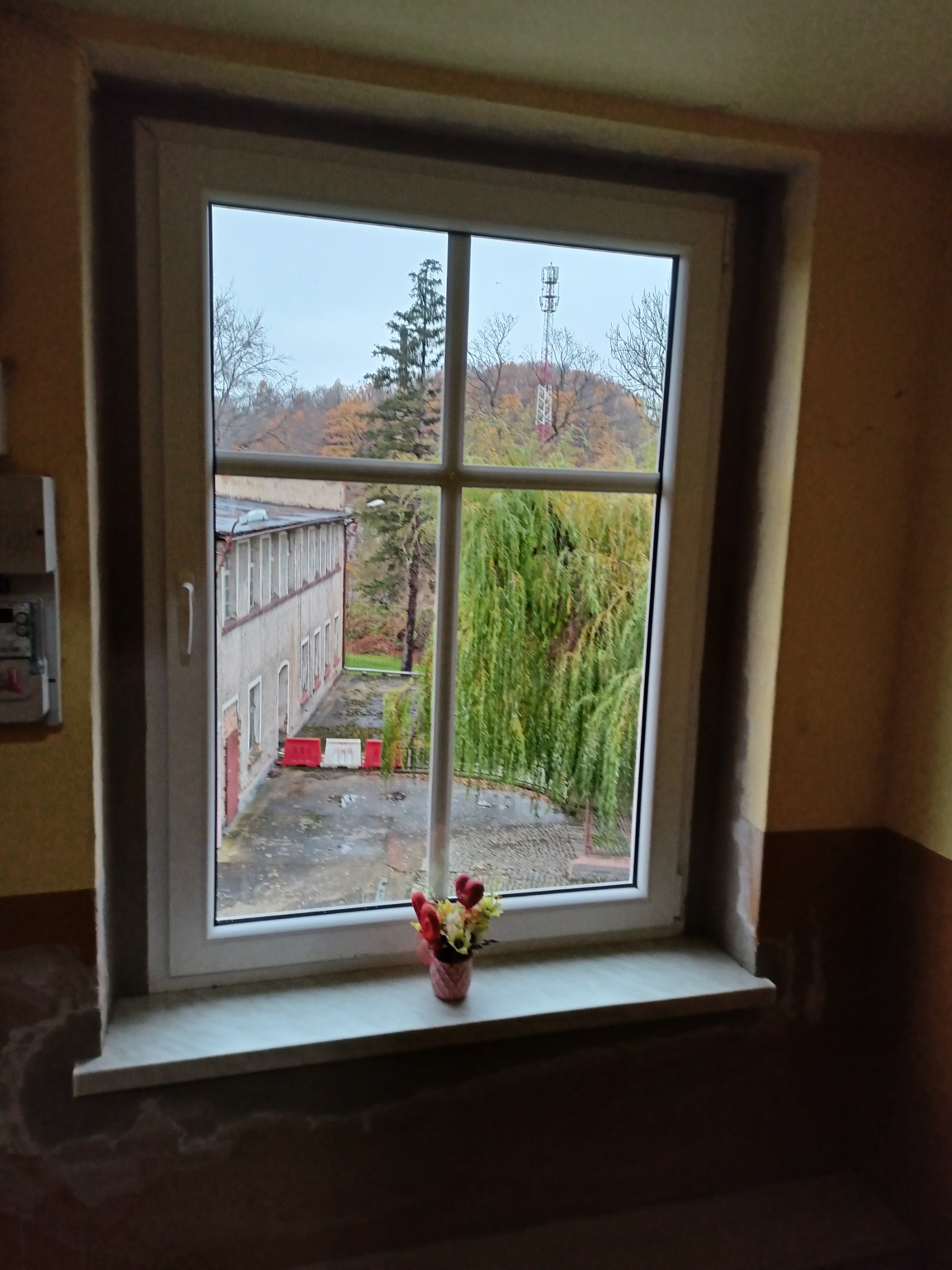 Widok z okna na budynek, drzewa i wieżę telekomunikacyjną w pochmurny dzień, z małym bukietem kwiatów w wazonie na parapecie.