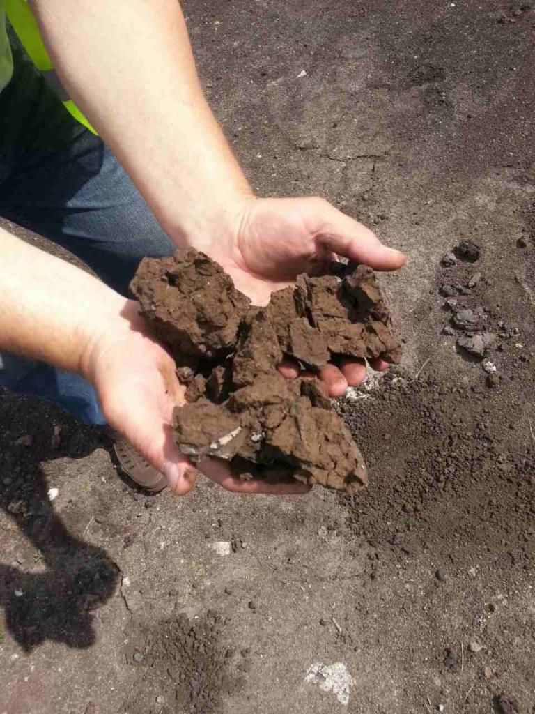 Dwie dłonie trzymają bryły ciemnej, wilgotnej ziemi na tle gruntu o podobnej barwie, widoczny fragment buta i odblaskowa kamizelka pracownika.