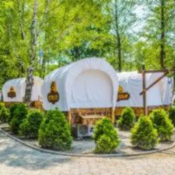 Kemping w stylu western z wozami przykrytymi białym płótnem, otoczonymi równo przystrzyżonymi krzewami na tle zieleni drzew.