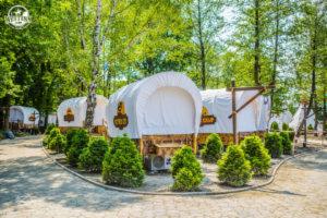 Kemping w stylu western z wozami przykrytymi białym płótnem, otoczonymi równo przystrzyżonymi krzewami na tle zieleni drzew.