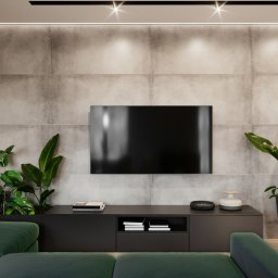 Osky Justyna Knapek - Minimalistyczny salon z szarą ścianą z płytek, czarnym telewizorem i szafką RTV, zieloną sofą oraz roślinami w donicach, oświetlony punktowymi lampami.