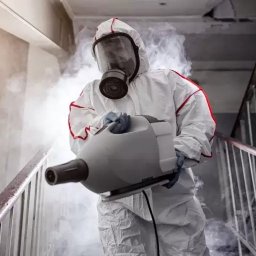 PRUSATOR.PL - Skuteczna Dezynsekcja Warszawa Pluskwy Odpluskwianie Dezynfekcja Deratyzacja - Sprzątanie Warszawa