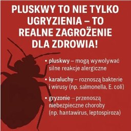 Dezynsekcja i deratyzacja Warszawa 1