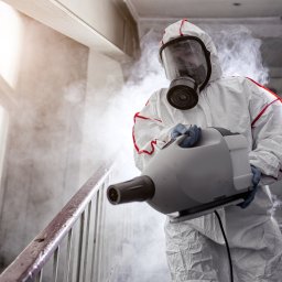 PRUSATOR.PL - Skuteczna Dezynsekcja Warszawa Pluskwy Odpluskwianie Dezynfekcja Deratyzacja - Pracownik w kombinezonie ochronnym i masce rozpyla środek dezynfekujący na klatce schodowej, używając zamgławiacza. Widoczne opary środka.