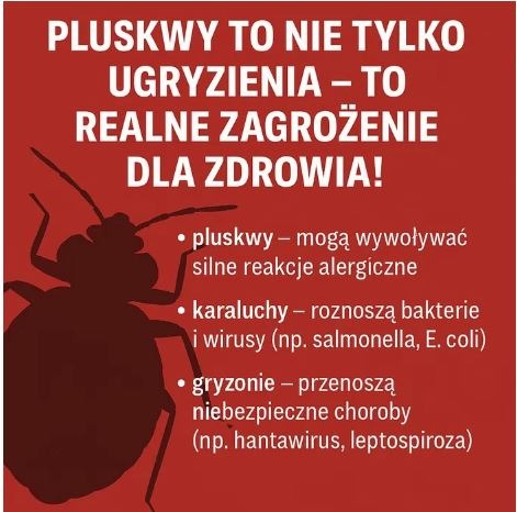 Infografika: Pluskwy, karaluchy i gryzonie jako realne zagrożenie dla zdrowia. Czerwone tło, biały tekst, sylwetka pluskwy. Alergie, bakterie, choroby.
