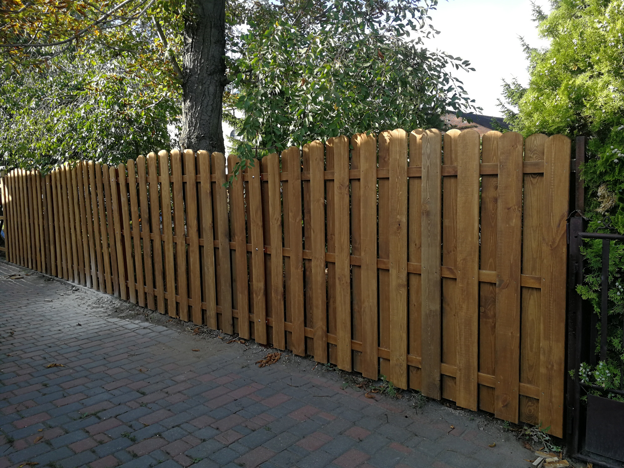 Długi, drewniany płot z zaokrąglonymi deskami, zabezpieczony bejcą w odcieniach brązu, oddzielający posesję od chodnika z kostki brukowej, z widocznym drzewem w tle.