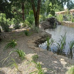 Oczka wodne Świdnica 4