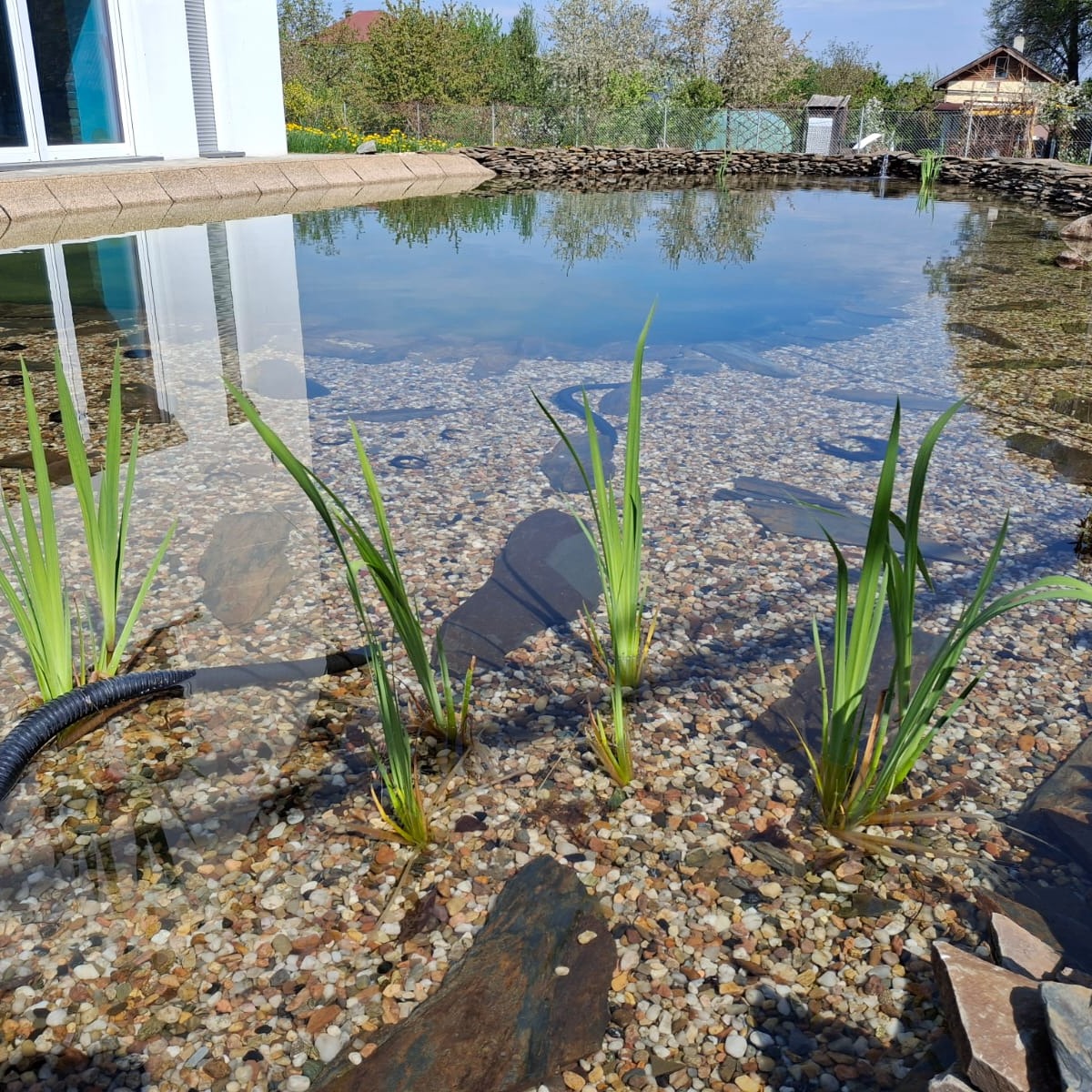 Krystalicznie czysty staw rekreacyjny z kamienistym dnem i roślinami wodnymi. W tle widoczny budynek i zieleń, tworzące naturalne otoczenie.