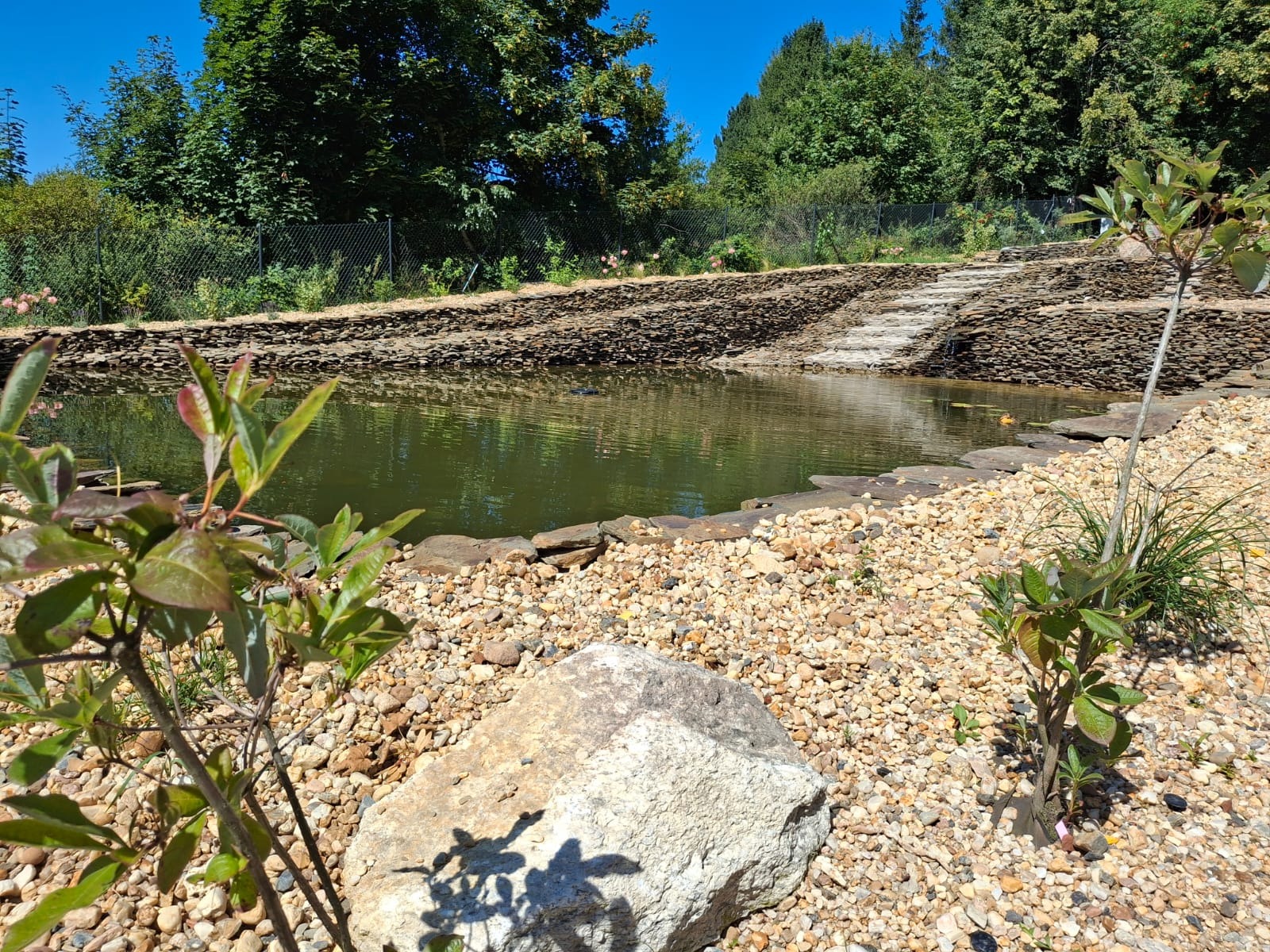 Oczko wodne z kamienną kaskadą i brzegiem wysypanym drobnymi kamykami. W tle widoczne drzewa i krzewy, a w pierwszym planie rośliny ozdobne.