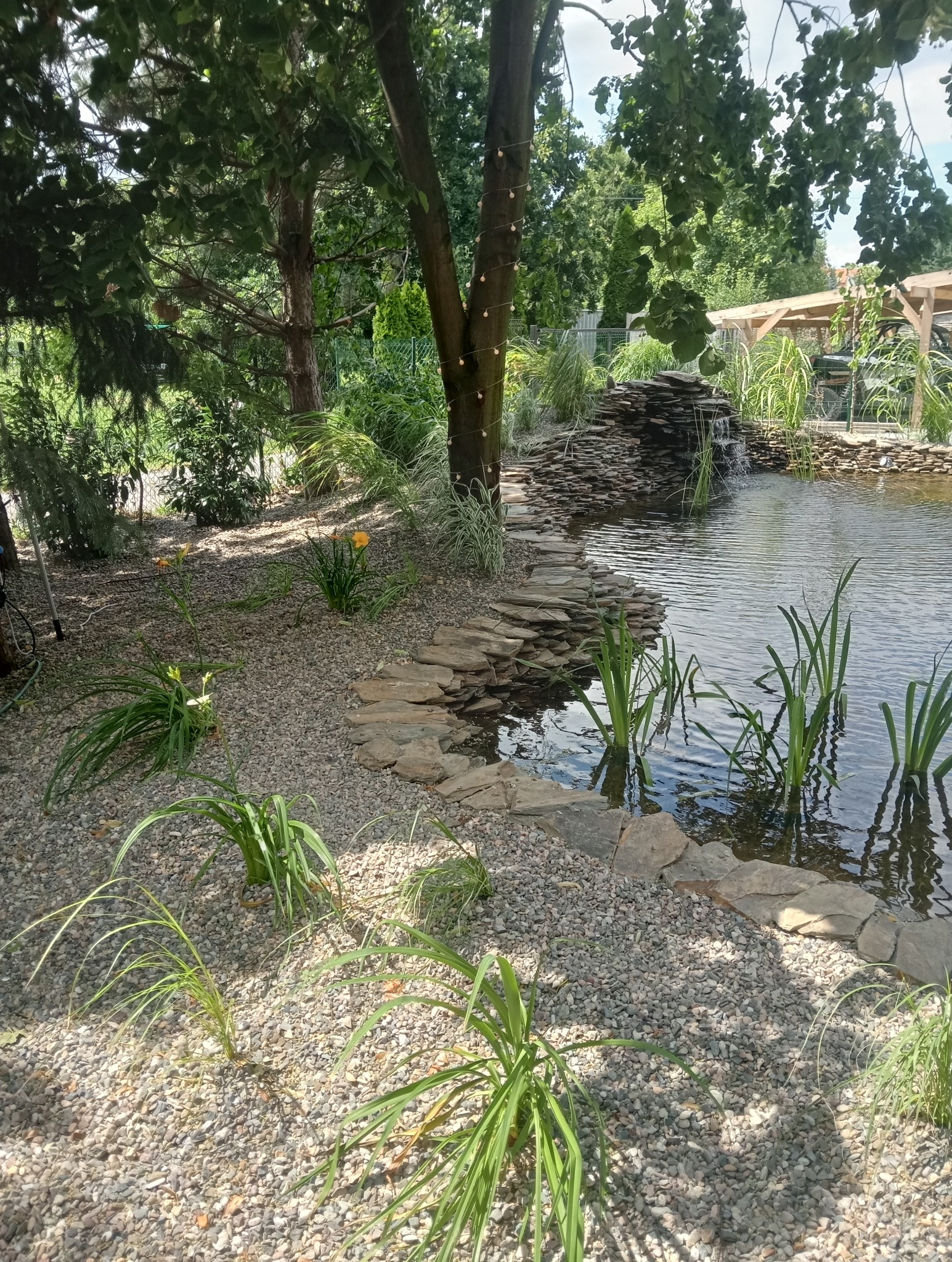 Oczko wodne z kamiennym wodospadem, otoczone roślinnością i ścieżką z płaskich kamieni. Drzewo z lampkami dodaje uroku. W tle widoczna altana.