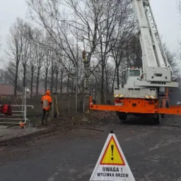 Pracownik w kasku i uprzęży na wysięgniku dźwigu Liebherr, przycina gałęzie wysokiej brzozy; na pierwszym planie trójkątny znak ostrzegawczy z napisem 'Uwaga! Wycinka drzew'; w tle inne drzewa...