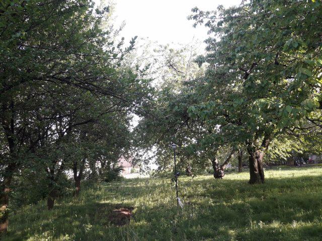 Teren z drzewami i wysoką trawą, widoczny sprzęt pomiarowy w tle, sugerujący prace przygotowawcze do pomiarów geodezyjnych.