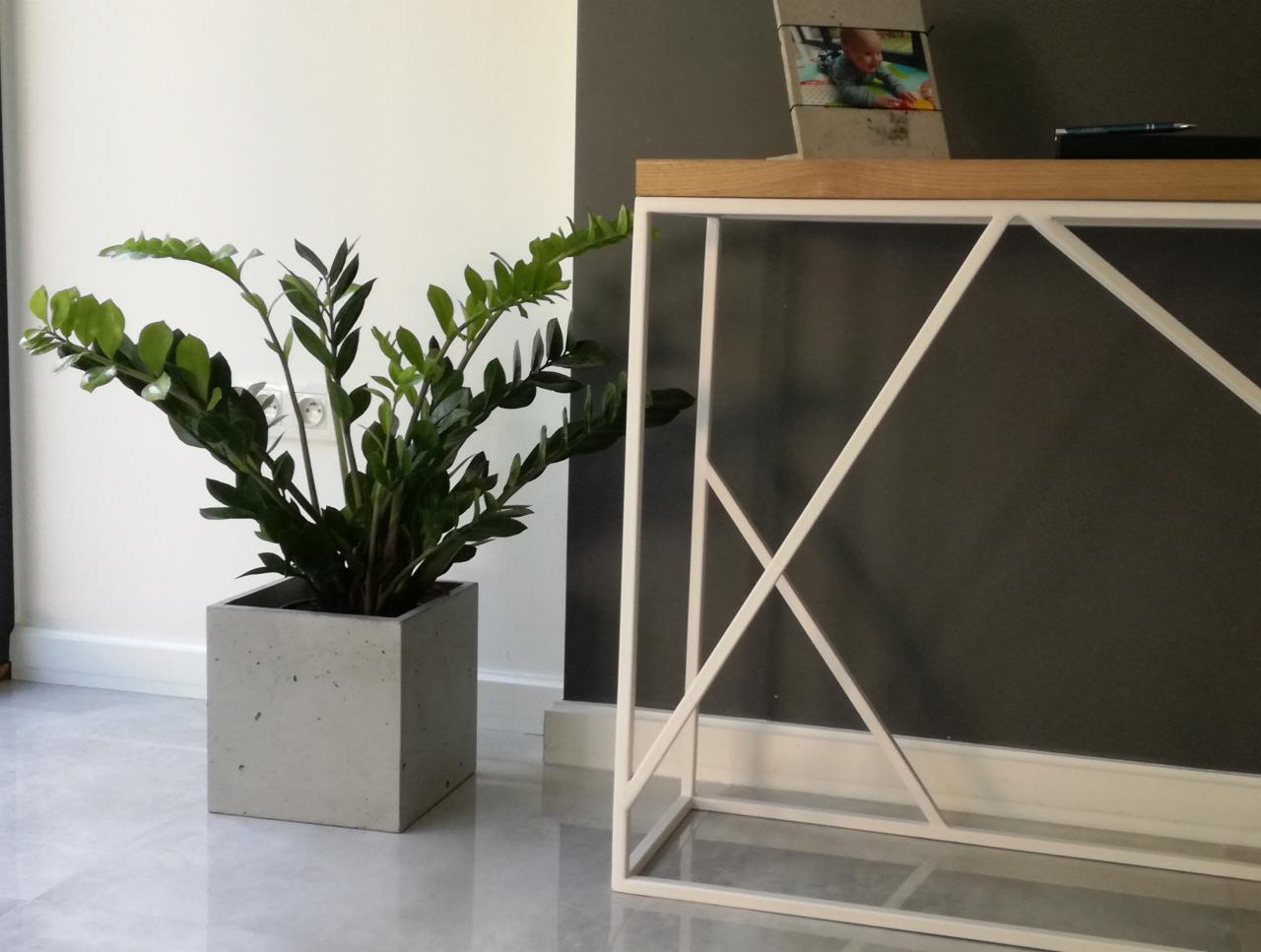 Zamiokulkas w kwadratowej, betonowej donicy na polerowanej podłodze, obok geometrycznej konsoli z białym stelażem i drewnianym blatem.