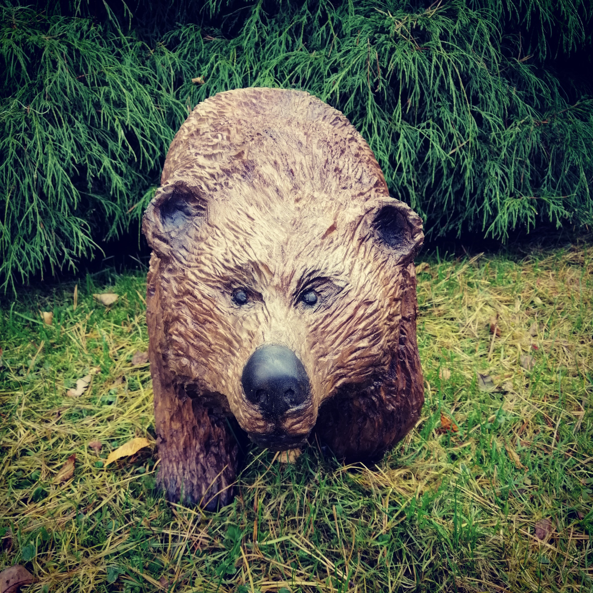 Ręcznie rzeźbiona, drewniana rzeźba przedstawiająca głowę niedźwiedzia, umieszczona na trawie przed gęstym żywopłotem.