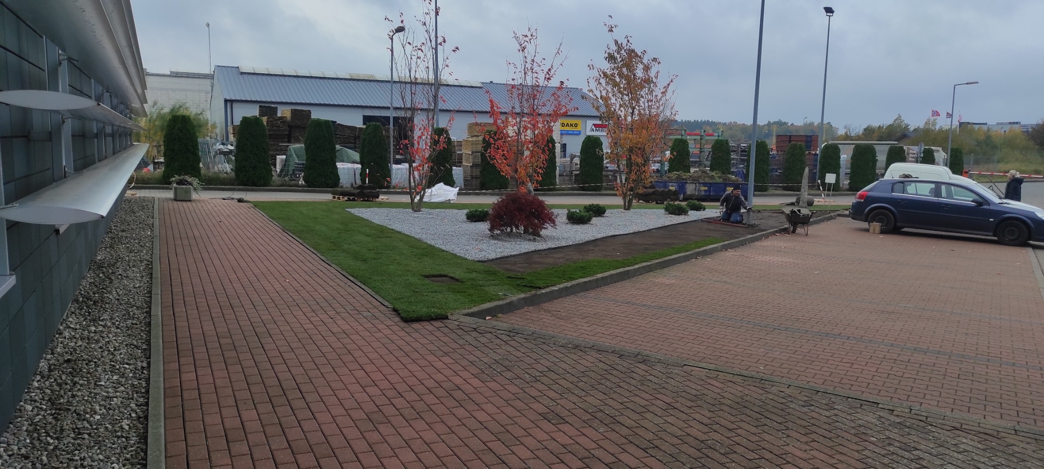 Układanie trawy z rolki na rabacie z drzewkami i szarą korą kamienną, widoczne przygotowane rolki trawy i pracownik podczas montażu, na drugim planie budynek firmy.