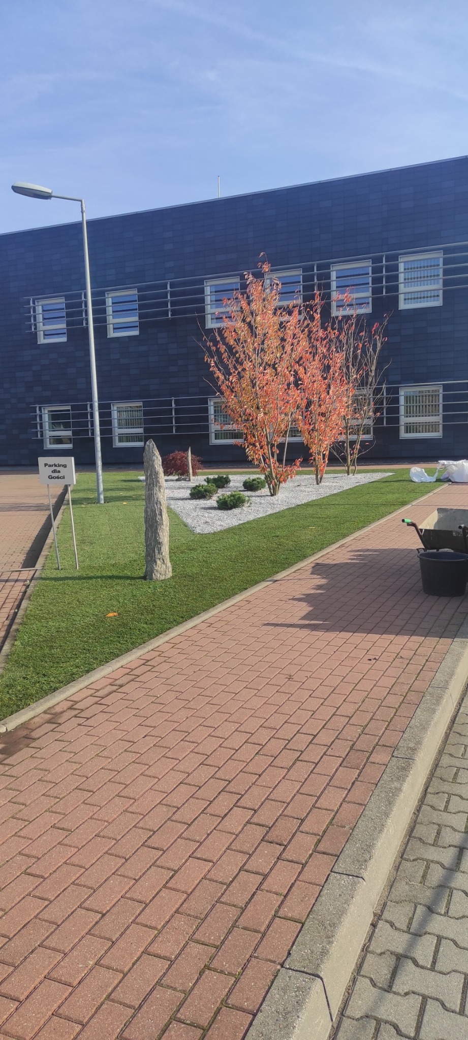 Nowo założony trawnik z rolki przed nowoczesnym budynkiem biurowym, drzewka z czerwonymi liśćmi, biały żwir, kamienny obelisk i znak 'Parking dla Gości'.
