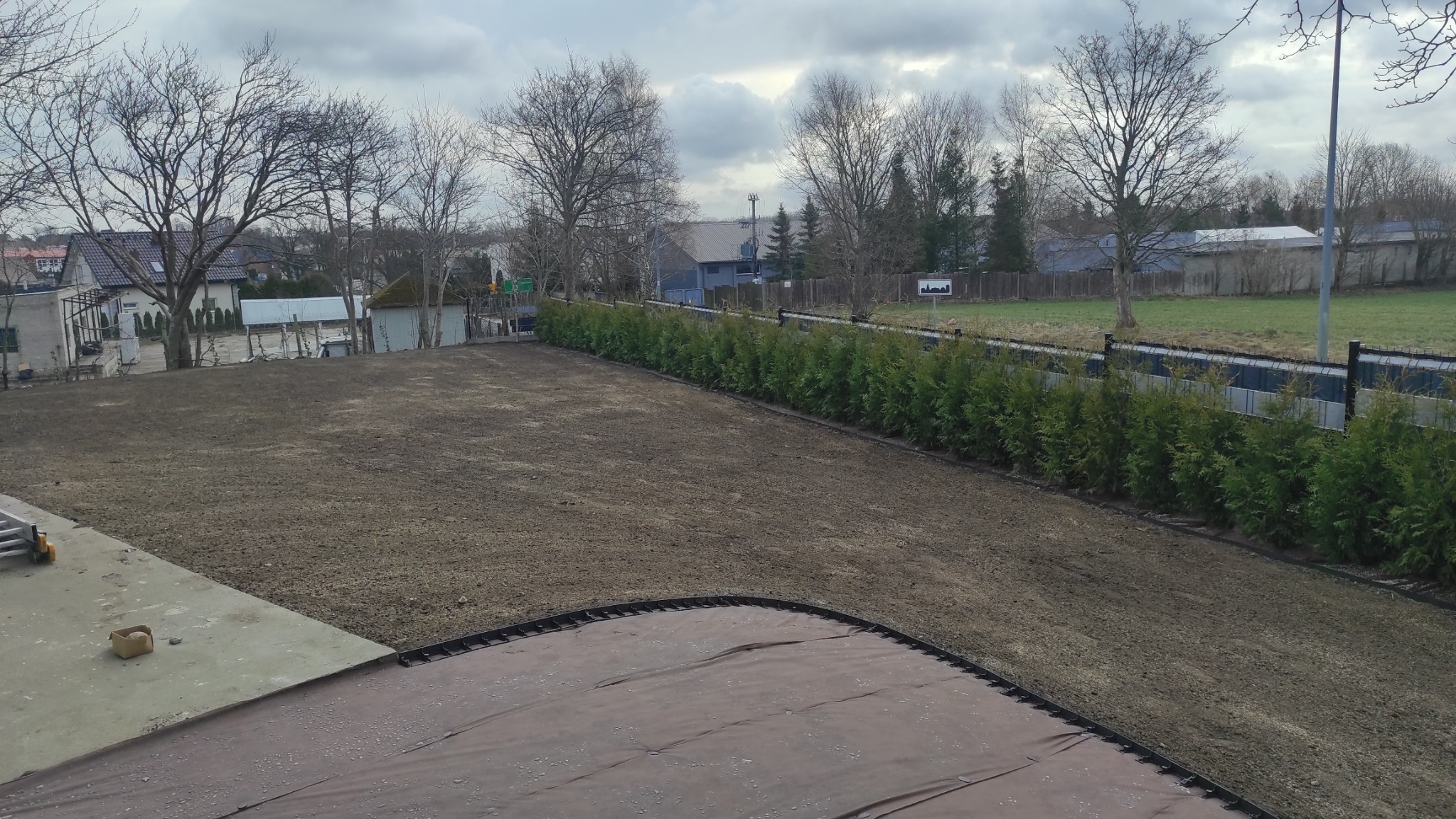 Przygotowany teren pod trawnik z widoczną linią tuj wzdłuż ogrodzenia, ziemia wyrównana i gotowa do siewu, widoczne elementy systemu drenażowego przy krawędzi.