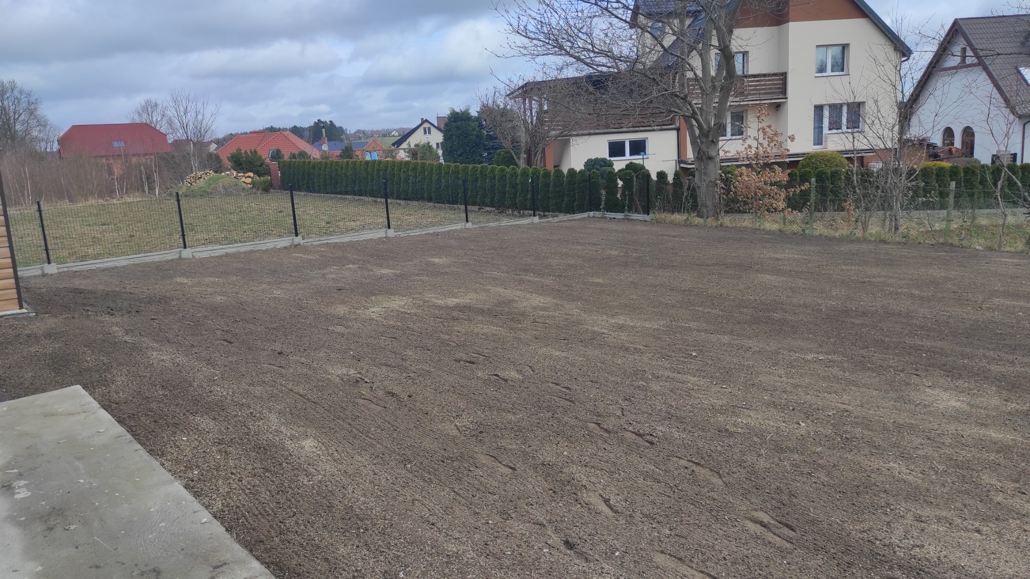 Przygotowany teren pod trawnik z widoczną strukturą gleby po bronowaniu, w tle rząd tuj wzdłuż ogrodzenia panelowego i zabudowa jednorodzinna w pochmurny dzień.