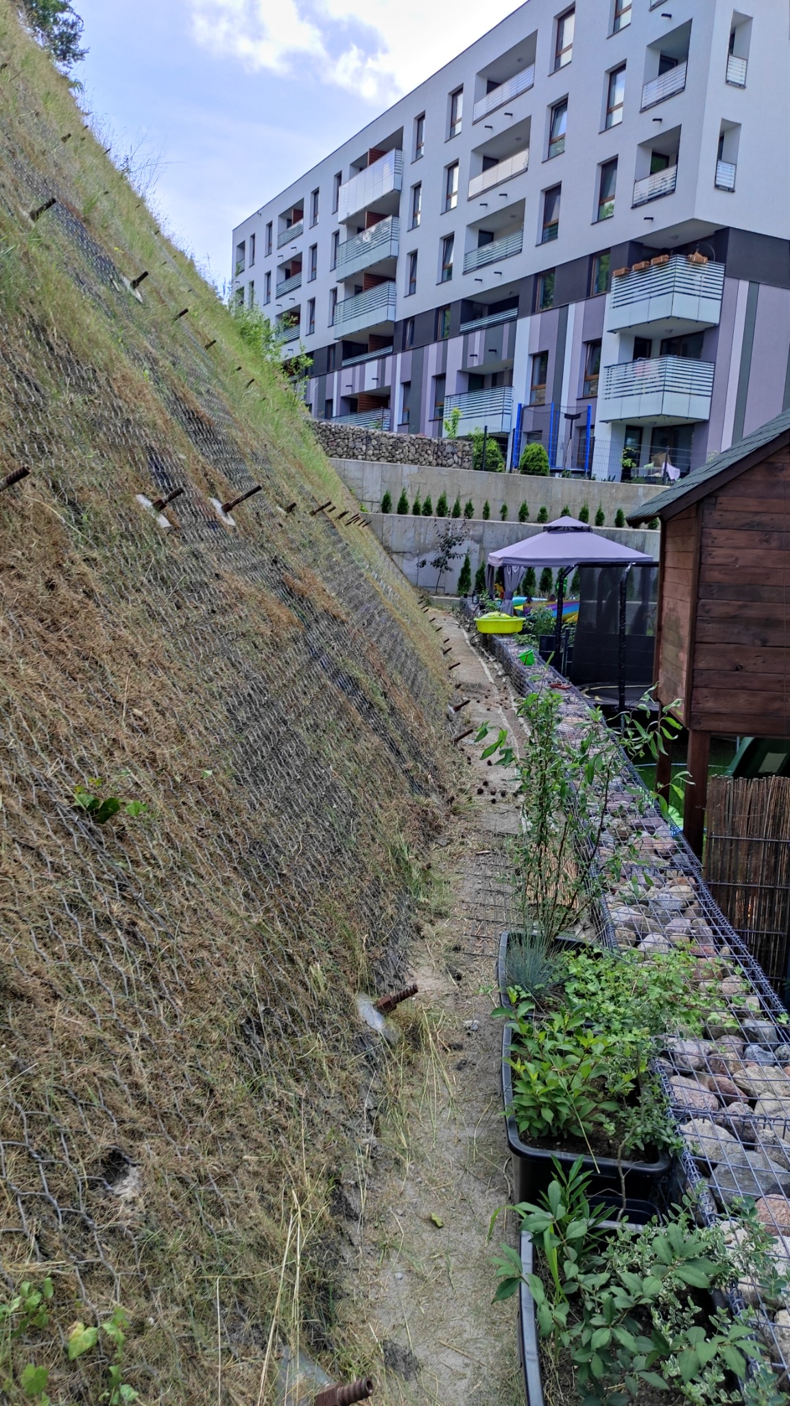 Stroma skarpa zabezpieczona siatką, częściowo porośnięta trawą, z widocznymi kotwami, obok ścieżka z donicami z roślinami i gabionami, w tle budynek mieszkalny.