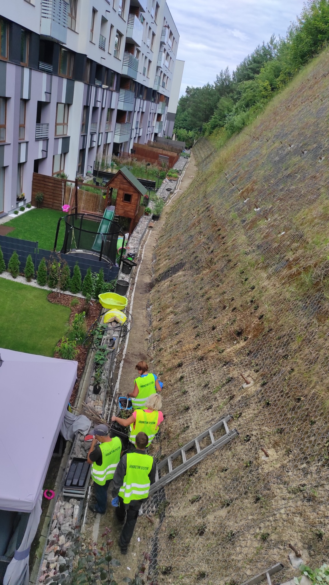 Pracownicy w odblaskowych kamizelkach sadzą rośliny na stromej, zabezpieczonej siatką skarpie w pobliżu nowoczesnego budynku mieszkalnego z ogrodami, widoczne narzędzia i drabina.