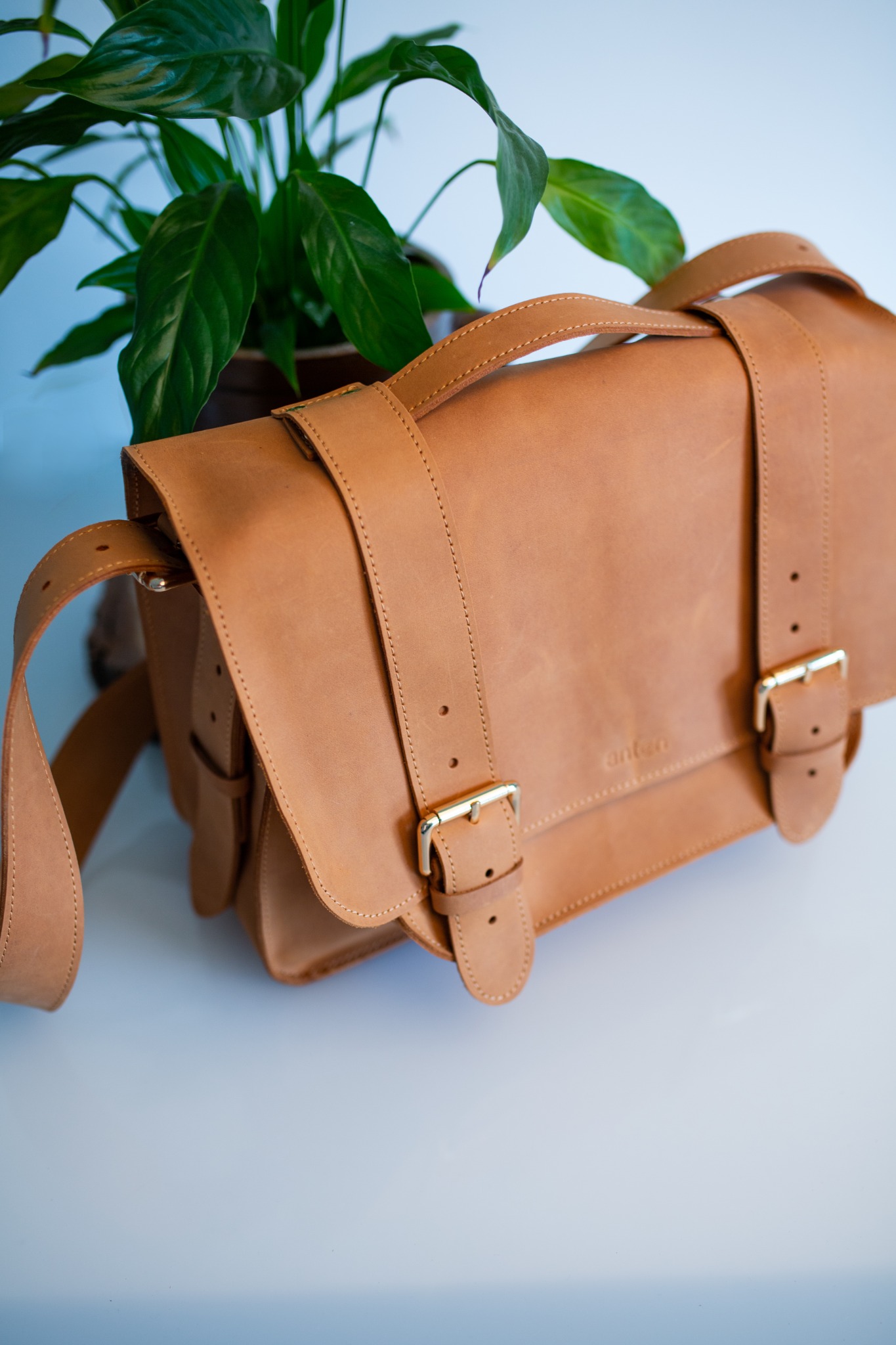 Skórzana listonoszka w odcieniu miodowego brązu, z widocznymi paskami zapinanymi na srebrne klamry, stoi na białym tle, a za nią widać zieloną roślinę doniczkową.