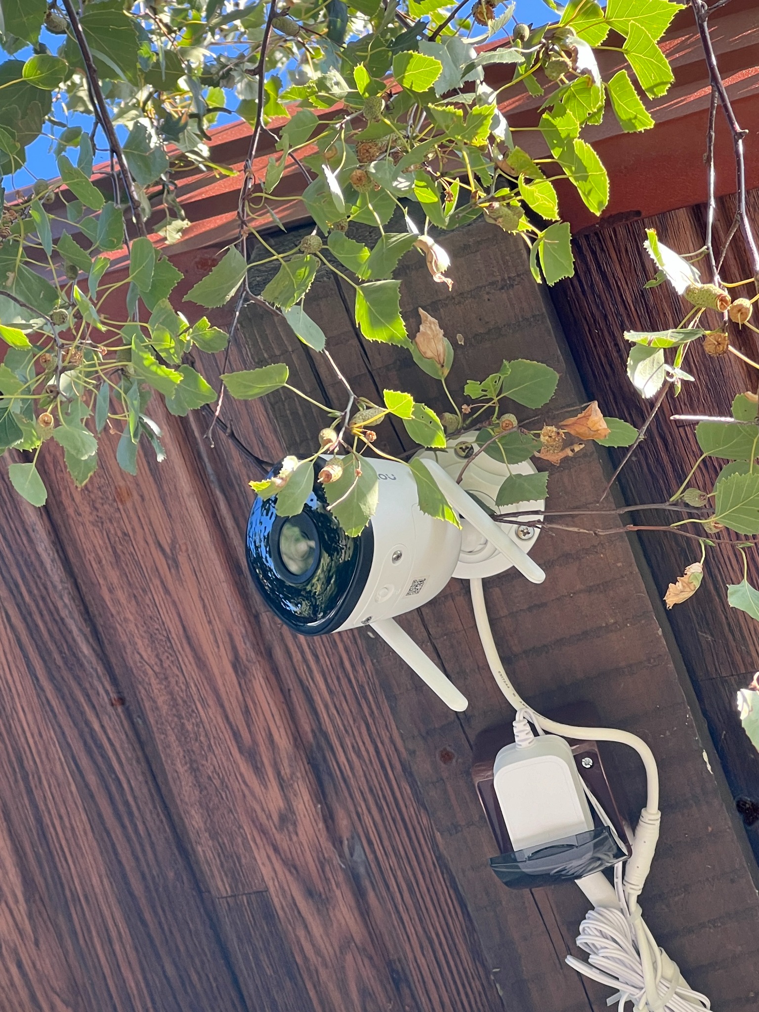 Biała kamera monitoringu zewnętrznego zamontowana na drewnianej ścianie, widoczny kabel zasilający i fragment drzewa z liśćmi w kadrze.