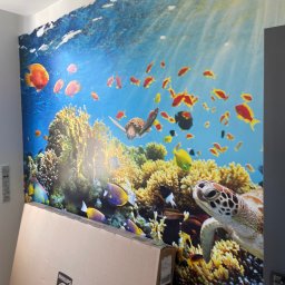 Dariusz Dybowski Paxbud Professional - Fototapeta z motywem podwodnego świata z rybami i żółwiami, częściowo zasłonięta kartonem z logo Philips, świeżo po montażu na ścianie w pokoju.