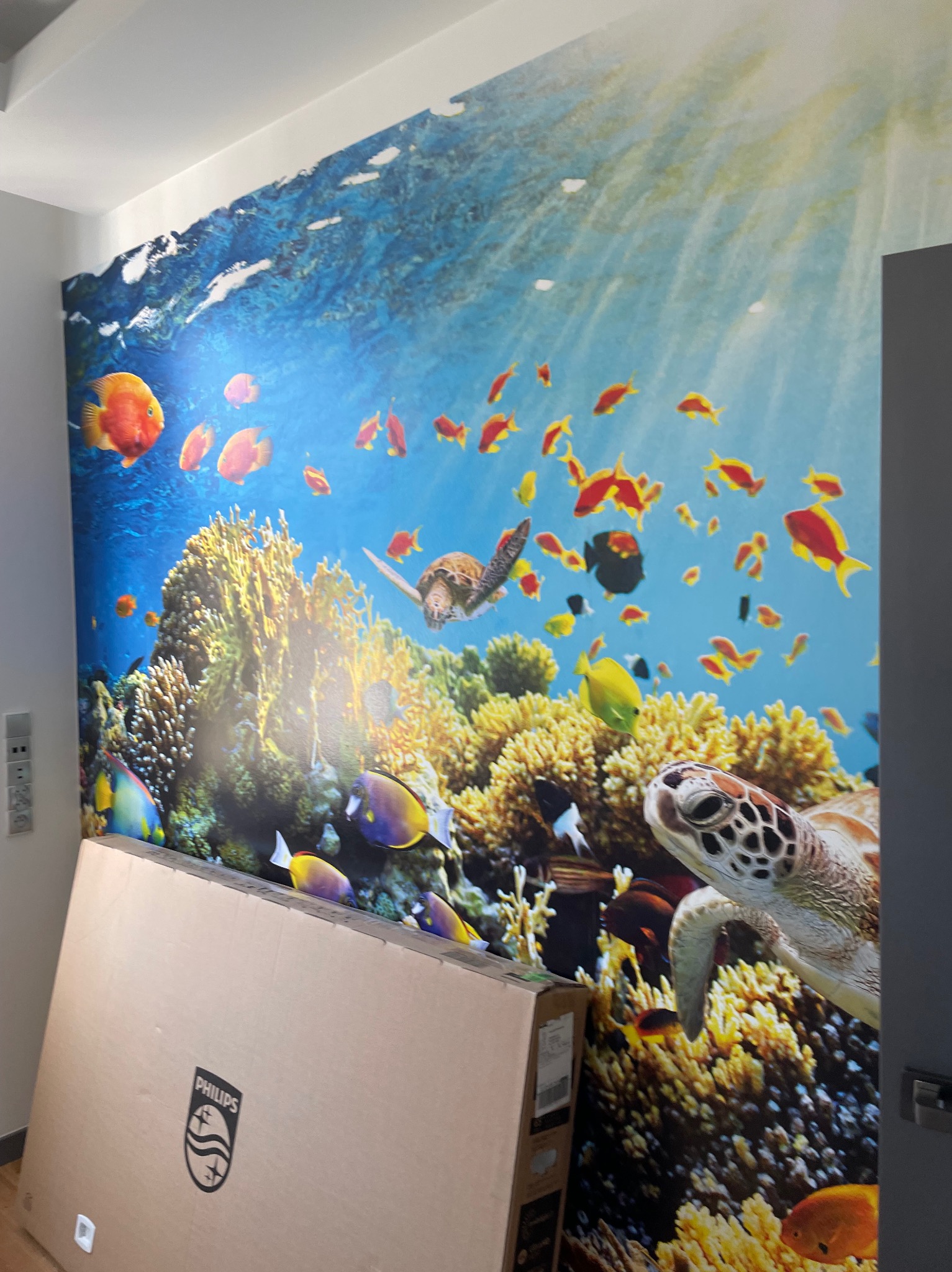 Fototapeta z motywem podwodnego świata z rybami i żółwiami, częściowo zasłonięta kartonem z logo Philips, świeżo po montażu na ścianie w pokoju.