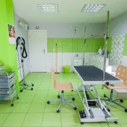 Wnętrze salonu groomerskiego z regulowanym stołem do pielęgnacji zwierząt, suszarką na statywie, wózkiem z szufladami i zielono-białymi płytkami.