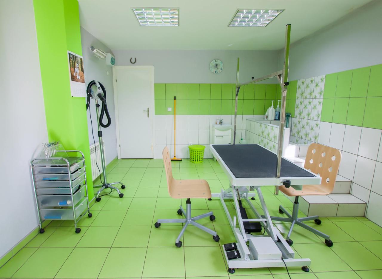 Wnętrze salonu groomerskiego z regulowanym stołem do pielęgnacji zwierząt, suszarką na statywie, wózkiem z szufladami i zielono-białymi płytkami.