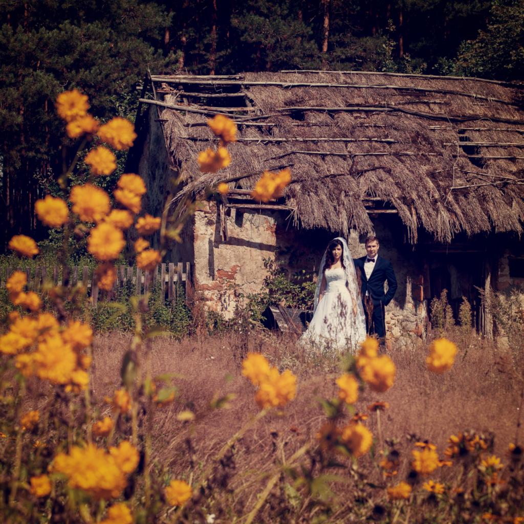 Para młoda w sukni ślubnej i smokingu pozuje na tle starej, zrujnowanej chaty z dziurawym strzechą, otoczona polnymi kwiatami o żółtych kwiatach.
