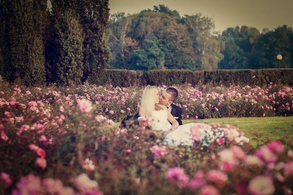 Pocałunek nowożeńców w różanym ogrodzie, panna młoda w białej sukni, pan młody w czarnym smokingu, w tle zielone krzewy i drzewa.