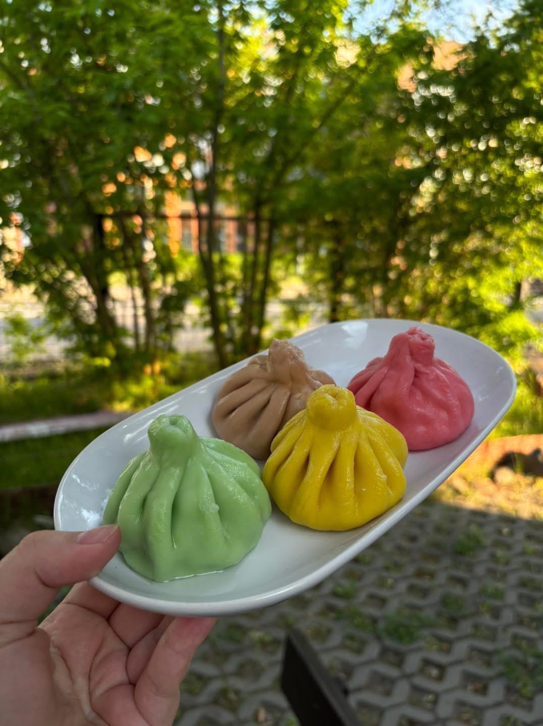 Kolorowe chinkali na białym talerzu, trzymane na tle zieleni. Różne smaki i barwy tradycyjnego dania gruzińskiego, gotowe do degustacji.