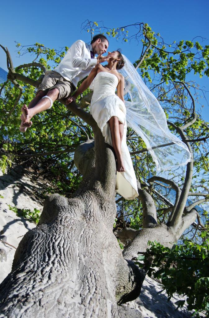 Para młoda w nietypowej scenerii: panna młoda w krótkiej sukni ślubnej i welonie stoi na konarze drzewa, a pan młody siedzi na gałęzi obok, boso, w zwiewnej koszuli i szortach, delikatnie dotykając...