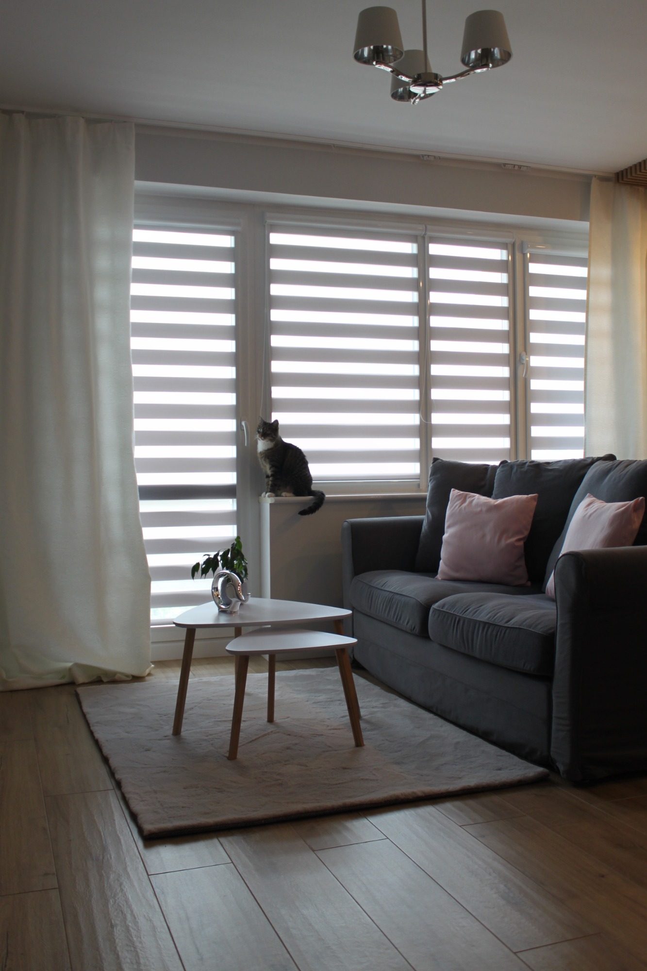 Szare wnętrze pokoju dziennego z kanapą, stolikami kawowymi, roletami okiennymi i kotem siedzącym na parapecie.