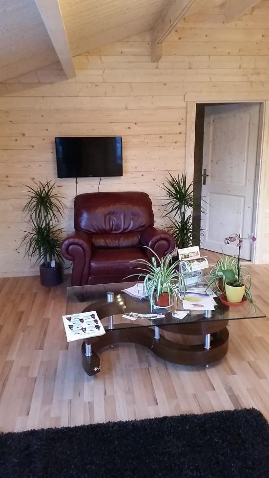 Wnętrze salonu w domu z drewnianych bali: skórzany fotel, telewizor na ścianie, stolik kawowy z dokumentami i roślinami doniczkowymi, drewniane ściany i podłoga.